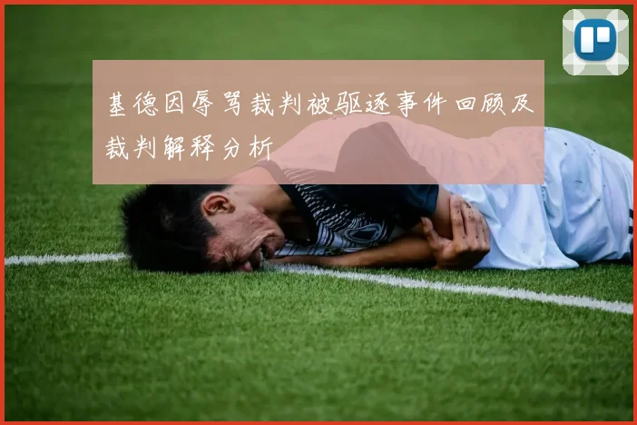 基德因辱骂裁判被驱逐事件回顾及裁判解释分析